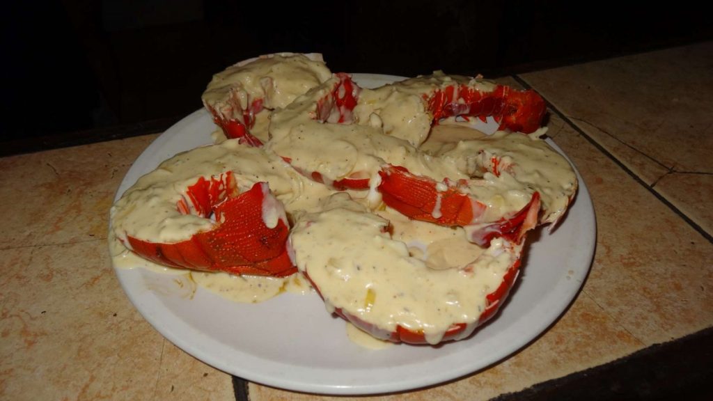 laugouste-mayonnaise